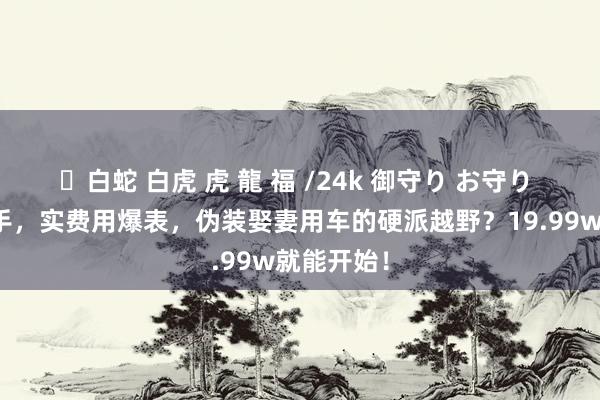 ✨白蛇 白虎 虎 龍 福 /24k 御守り お守り 六边形选手，实费用爆表，伪装娶妻用车的硬派越野？19.99w就能开始！