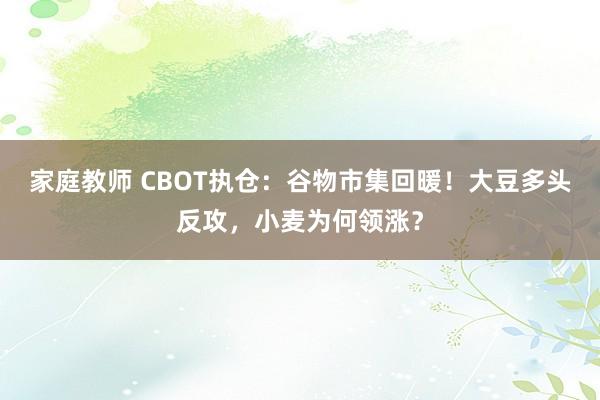 家庭教师 CBOT执仓：谷物市集回暖！大豆多头反攻，小麦为何领涨？