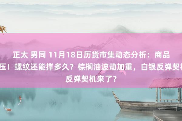 正太 男同 11月18日历货市集动态分析：商品市集承压！螺纹还能撑多久？棕榈油波动加重，白银反弹契机来了？