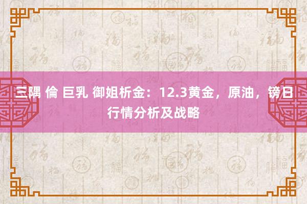 三隅 倫 巨乳 御姐析金：12.3黄金，原油，镑日行情分析及战略