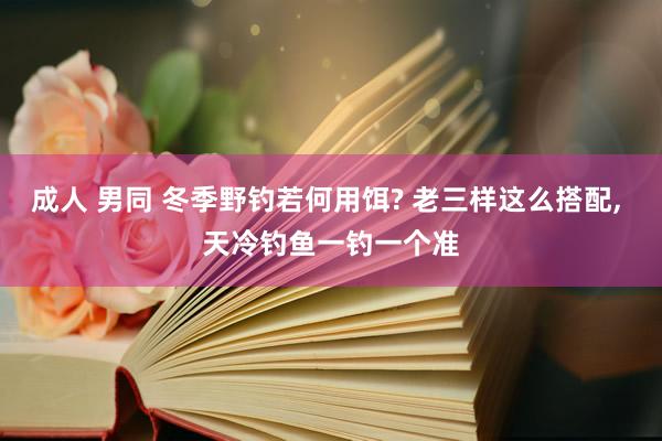 成人 男同 冬季野钓若何用饵? 老三样这么搭配， 天冷钓鱼一钓一个准