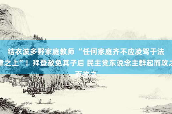 结衣波多野家庭教师 “任何家庭齐不应凌驾于法律之上”！拜登赦免其子后 民主党东说念主群起而攻之