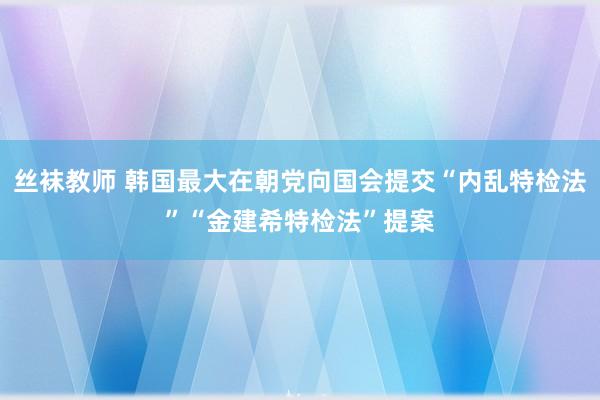 丝袜教师 韩国最大在朝党向国会提交“内乱特检法”“金建希特检法”提案