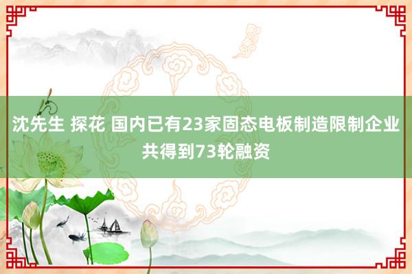 沈先生 探花 国内已有23家固态电板制造限制企业共得到73轮融资