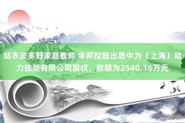 结衣波多野家庭教师 华邦控股出质中为（上海）动力技能有限公司股权，数额为2540.16万元