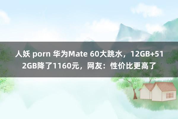 人妖 porn 华为Mate 60大跳水，12GB+512GB降了1160元，网友：性价比更高了