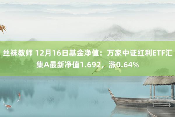 丝袜教师 12月16日基金净值：万家中证红利ETF汇集A最新净值1.692，涨0.64%