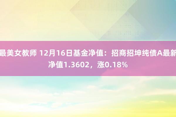 最美女教师 12月16日基金净值：招商招坤纯债A最新净值1.3602，涨0.18%