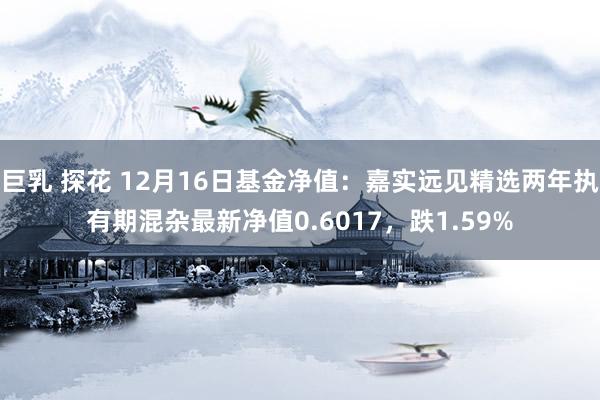 巨乳 探花 12月16日基金净值：嘉实远见精选两年执有期混杂最新净值0.6017，跌1.59%