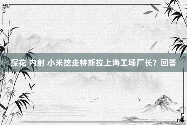 探花 内射 小米挖走特斯拉上海工场厂长？回答