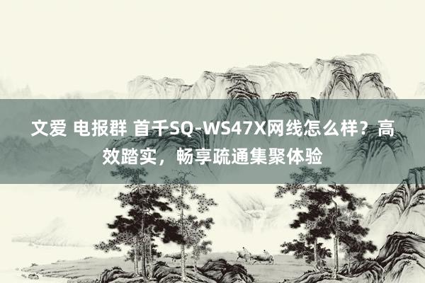 文爱 电报群 首千SQ-WS47X网线怎么样？高效踏实，畅享疏通集聚体验