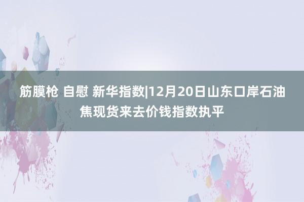 筋膜枪 自慰 新华指数|12月20日山东口岸石油焦现货来去价钱指数执平