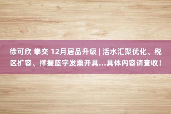 徐可欣 拳交 12月居品升级 | 活水汇聚优化、税区扩容、撑握蓝字发票开具...具体内容请查收！