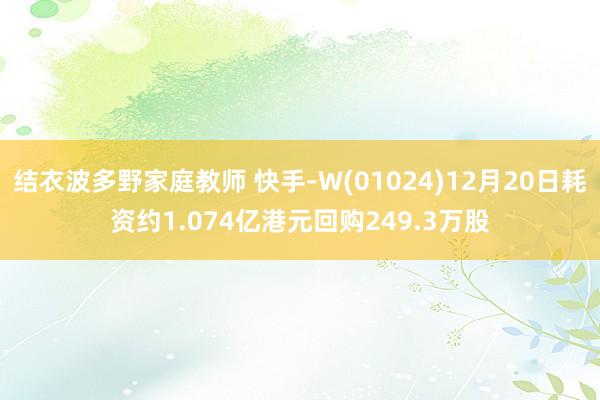 结衣波多野家庭教师 快手-W(01024)12月20日耗资约1.074亿港元回购249.3万股