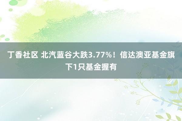 丁香社区 北汽蓝谷大跌3.77%！信达澳亚基金旗下1只基金握有