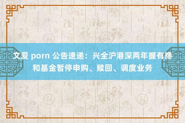 文爱 porn 公告速递：兴全沪港深两年握有搀和基金暂停申购、赎回、调度业务