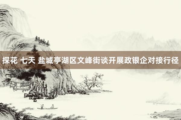 探花 七天 盐城亭湖区文峰街谈开展政银企对接行径