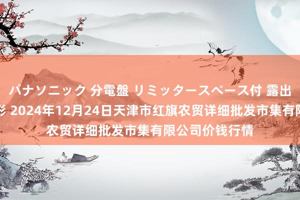 パナソニック 分電盤 リミッタースペース付 露出・半埋込両用形 2024年12月24日天津市红旗农贸详细批发市集有限公司价钱行情