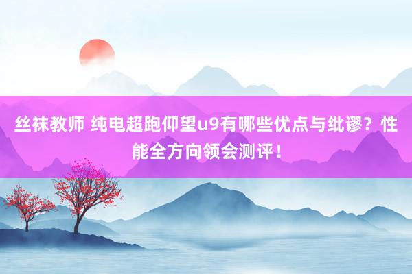 丝袜教师 纯电超跑仰望u9有哪些优点与纰谬？性能全方向领会测评！