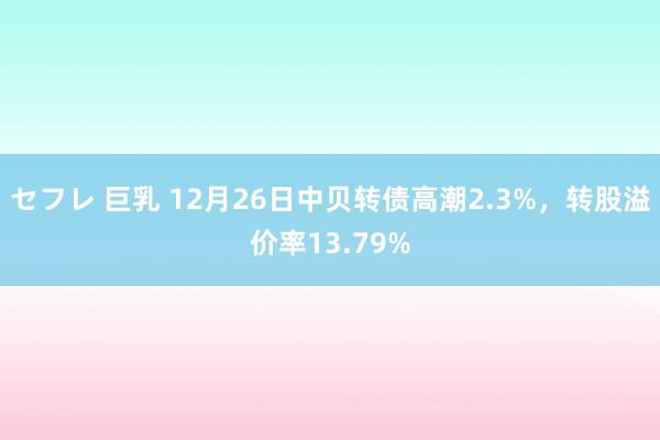 セフレ 巨乳 12月26日中贝转债高潮2.3%，转股溢价率13.79%