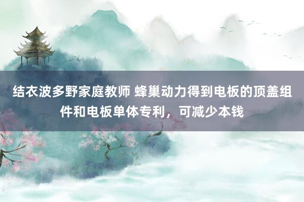 结衣波多野家庭教师 蜂巢动力得到电板的顶盖组件和电板单体专利，可减少本钱