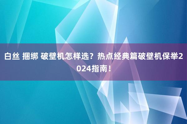 白丝 捆绑 破壁机怎样选？热点经典篇破壁机保举2024指南！