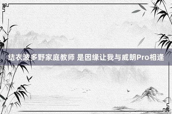 结衣波多野家庭教师 是因缘让我与威朗Pro相逢