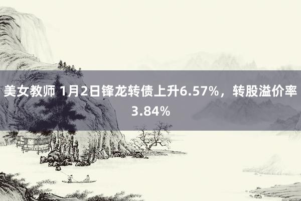 美女教师 1月2日锋龙转债上升6.57%，转股溢价率3.84%