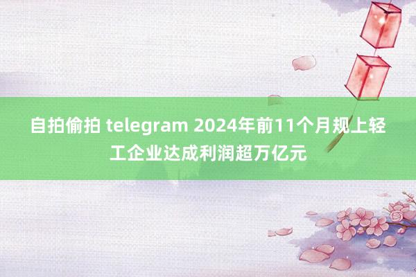 自拍偷拍 telegram 2024年前11个月规上轻工企业达成利润超万亿元