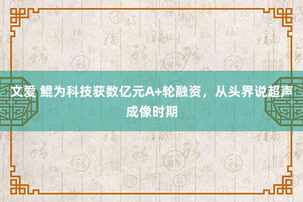 文爱 鲲为科技获数亿元A+轮融资，从头界说超声成像时期