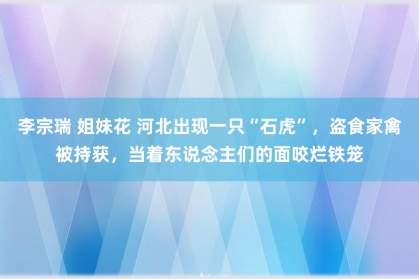 李宗瑞 姐妹花 河北出现一只“石虎”，盗食家禽被持获，当着东说念主们的面咬烂铁笼