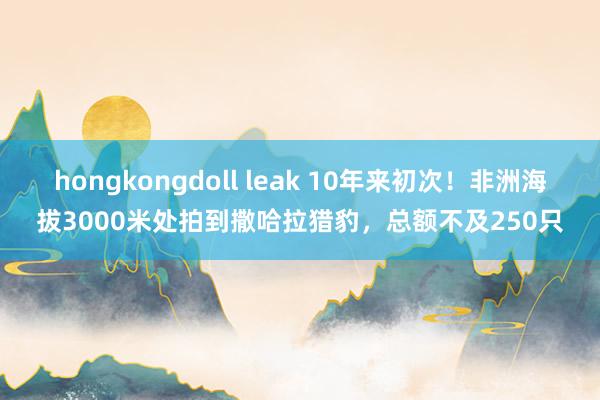 hongkongdoll leak 10年来初次！非洲海拔3000米处拍到撒哈拉猎豹，总额不及250只