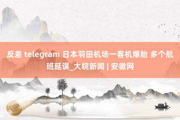 反差 telegram 日本羽田机场一客机爆胎 多个航班延误_大皖新闻 | 安徽网