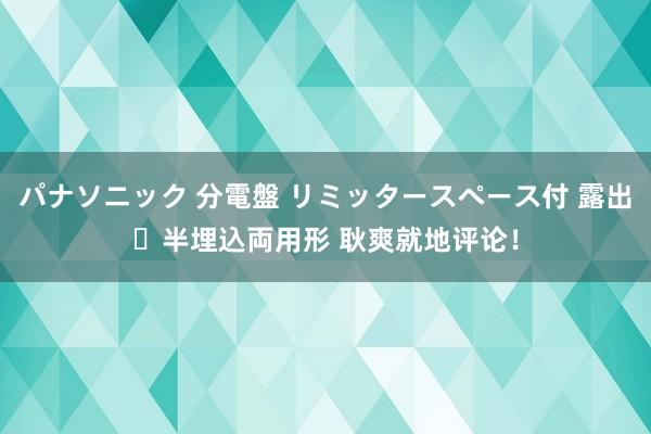 パナソニック 分電盤 リミッタースペース付 露出・半埋込両用形 耿爽就地评论！