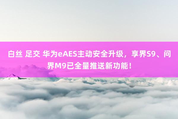 白丝 足交 华为eAES主动安全升级，享界S9、问界M9已全量推送新功能！