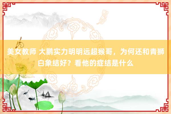 美女教师 大鹏实力明明远超猴哥，为何还和青狮白象结好？看他的症结是什么