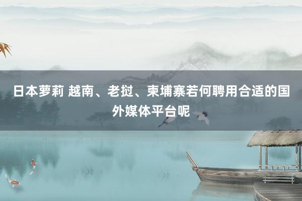 日本萝莉 越南、老挝、柬埔寨若何聘用合适的国外媒体平台呢