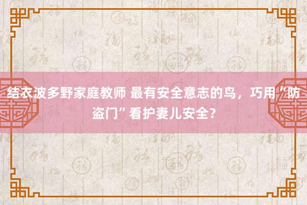 结衣波多野家庭教师 最有安全意志的鸟，巧用“防盗门”看护妻儿安全？