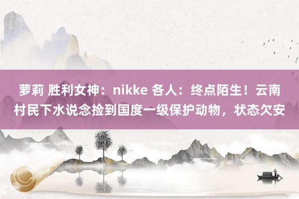 萝莉 胜利女神：nikke 各人：终点陌生！云南村民下水说念捡到国度一级保护动物，状态欠安