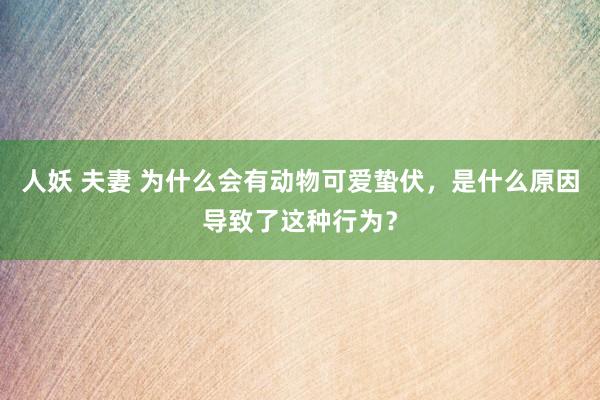 人妖 夫妻 为什么会有动物可爱蛰伏，是什么原因导致了这种行为？