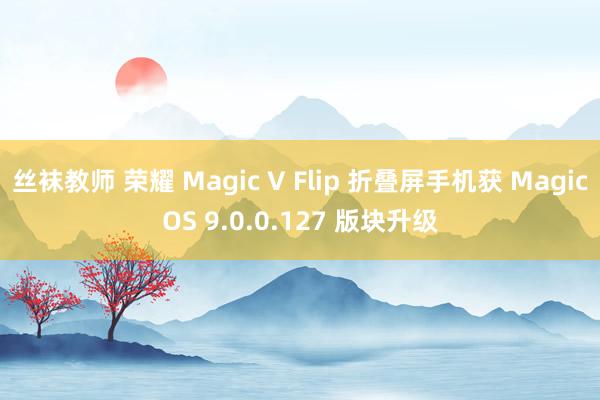 丝袜教师 荣耀 Magic V Flip 折叠屏手机获 MagicOS 9.0.0.127 版块升级